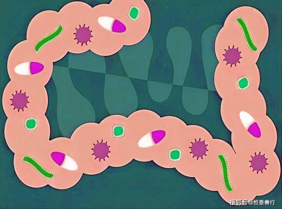 细菌_致病菌_食物