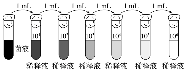 微基生物微生物分离培养流程及目的介绍