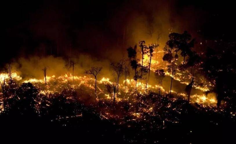 森林火灾对生态环境的影响_汕头_严重_林木