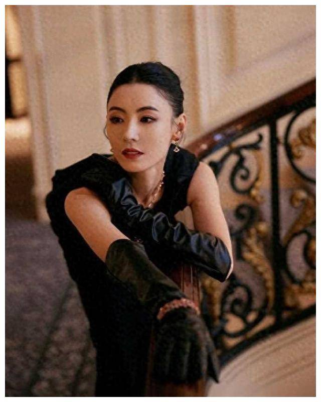 张柏芝老来骨相美,风韵犹存,令人着迷._生活_魅力_岁月