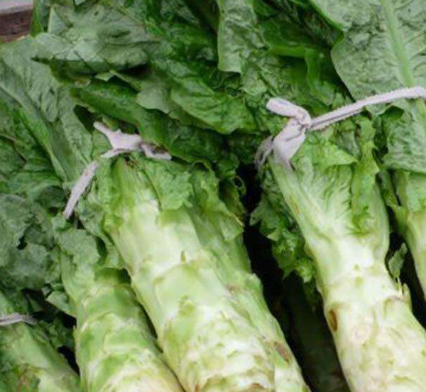 莴笋味道清新且略带苦味,能够刺激消化酶分泌,增进食欲.