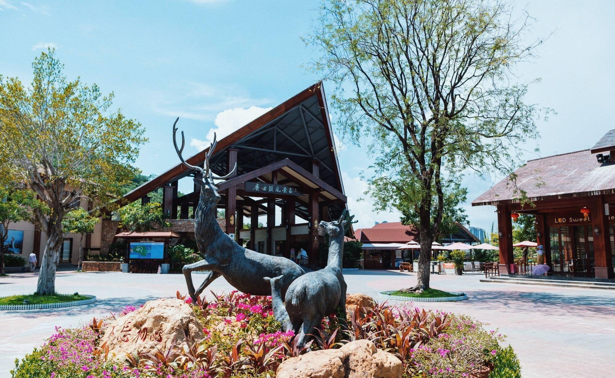 三亚最值得去的景点,俯瞰三亚全景唯一佳处,被誉为"南海情山"_鹿回头