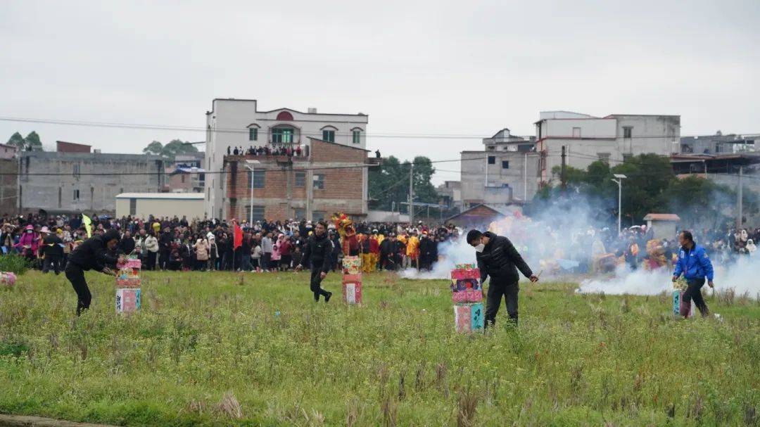 广西非遗葛麻炮会 龙狮舞动喜闹新春
