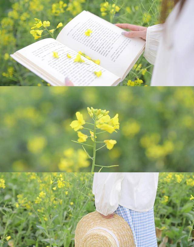 手拿油菜花图片真实图片