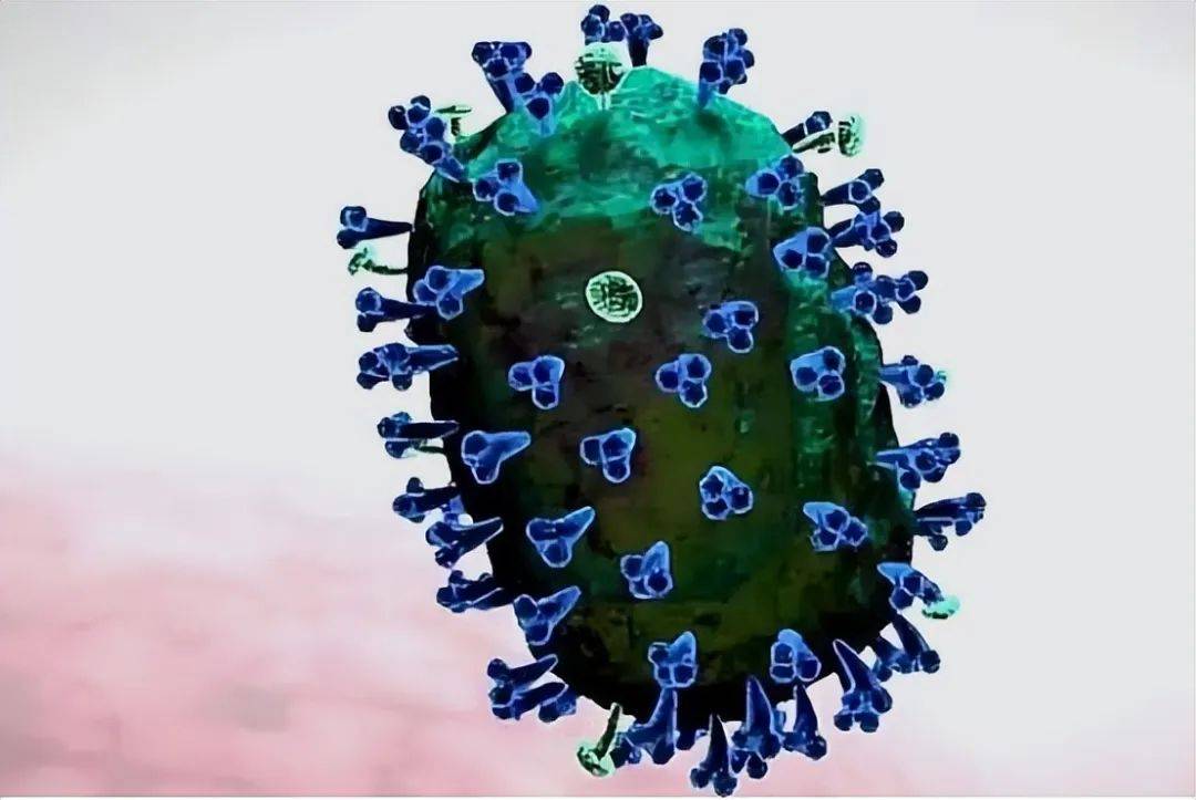 阮病毒朊病毒图片