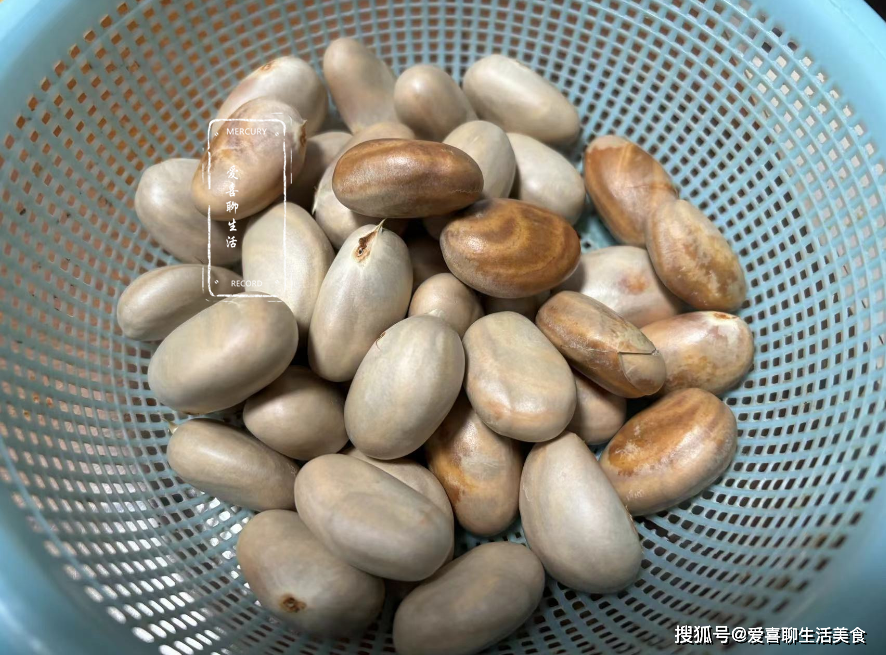 春天这水果该多吃,浑身是宝,果核却被人当垃圾扔了,真的太可惜!