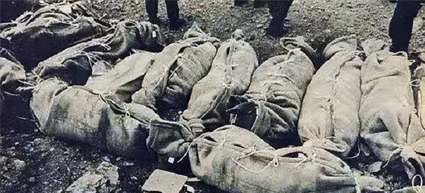 日航123:少一排铆钉,520人丧生,救援队消极怠工,多人枉死_飞机_航班