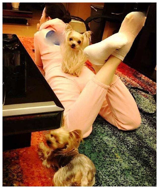 闲在家中,刘亦菲除了养猫养狗看书外,每天早上会练习瑜伽或健身,长年