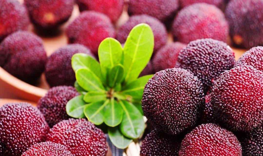 时令水果大揭秘三月就应该吃这个