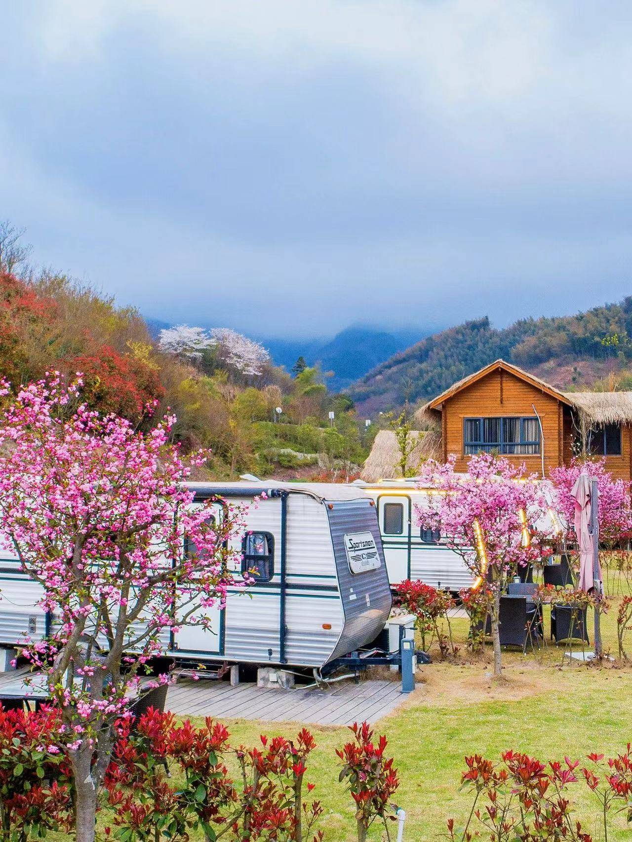 藏在山顶的樱花房车小院超心动_项目_建议_发夹