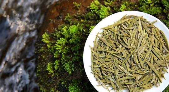 君山_武夷_银针