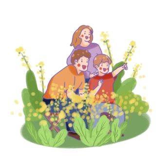 不负好春光,别让过敏找上你_皮肤_花粉_症状