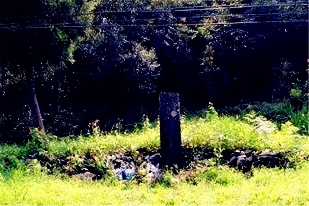 弟弟给姐姐"托梦",找到埋尸点,至今无法解释_张燕_警方_张永成