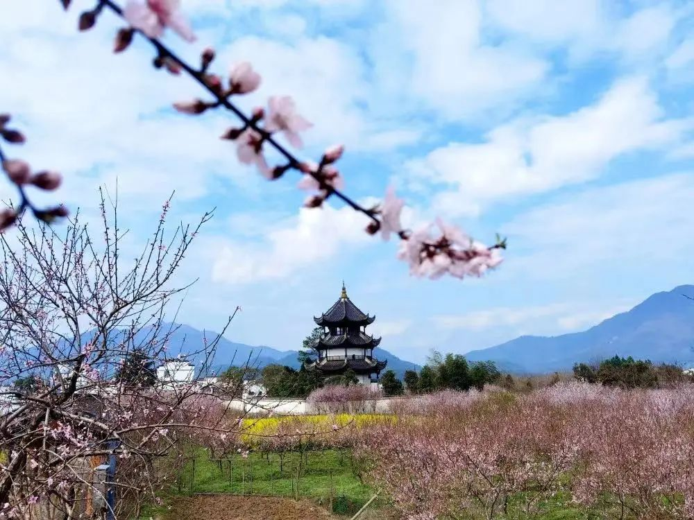 安徽泾县:三月,去桃花潭赏限定春光,还有系列优惠活动~_李白_汪伦