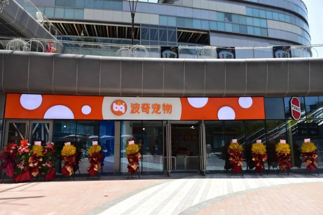 正规仓鼠宠物店图片