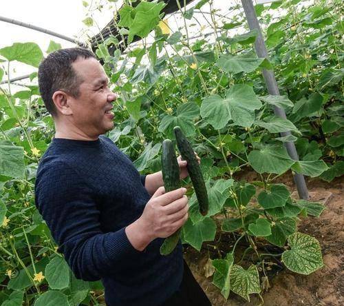 绿色农场能够长期发展当然也和孙建省的经营理念离不开关系.