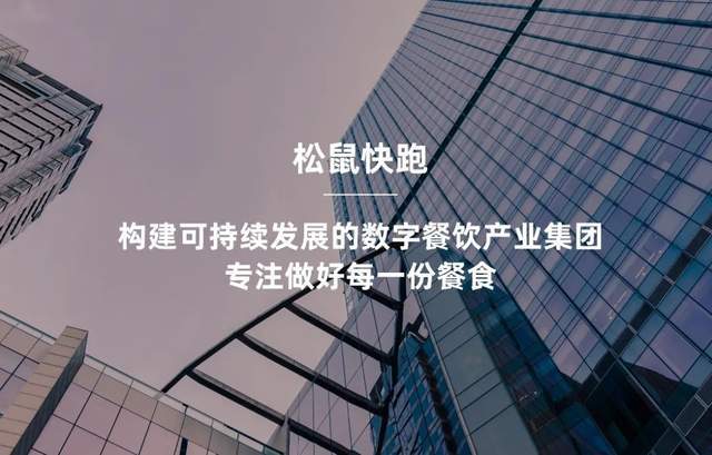 松鼠_供应_数字