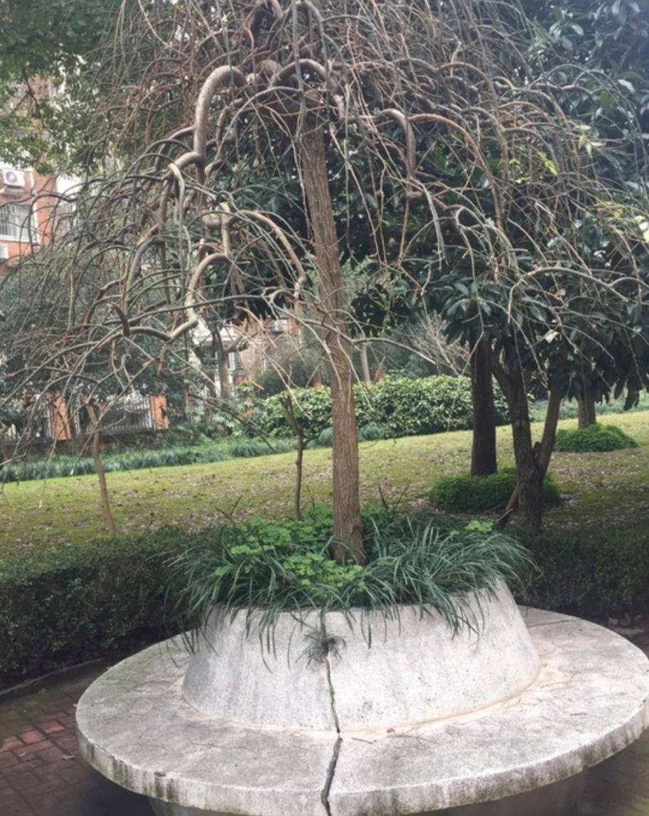 原创上海浦东由由公园五光十色