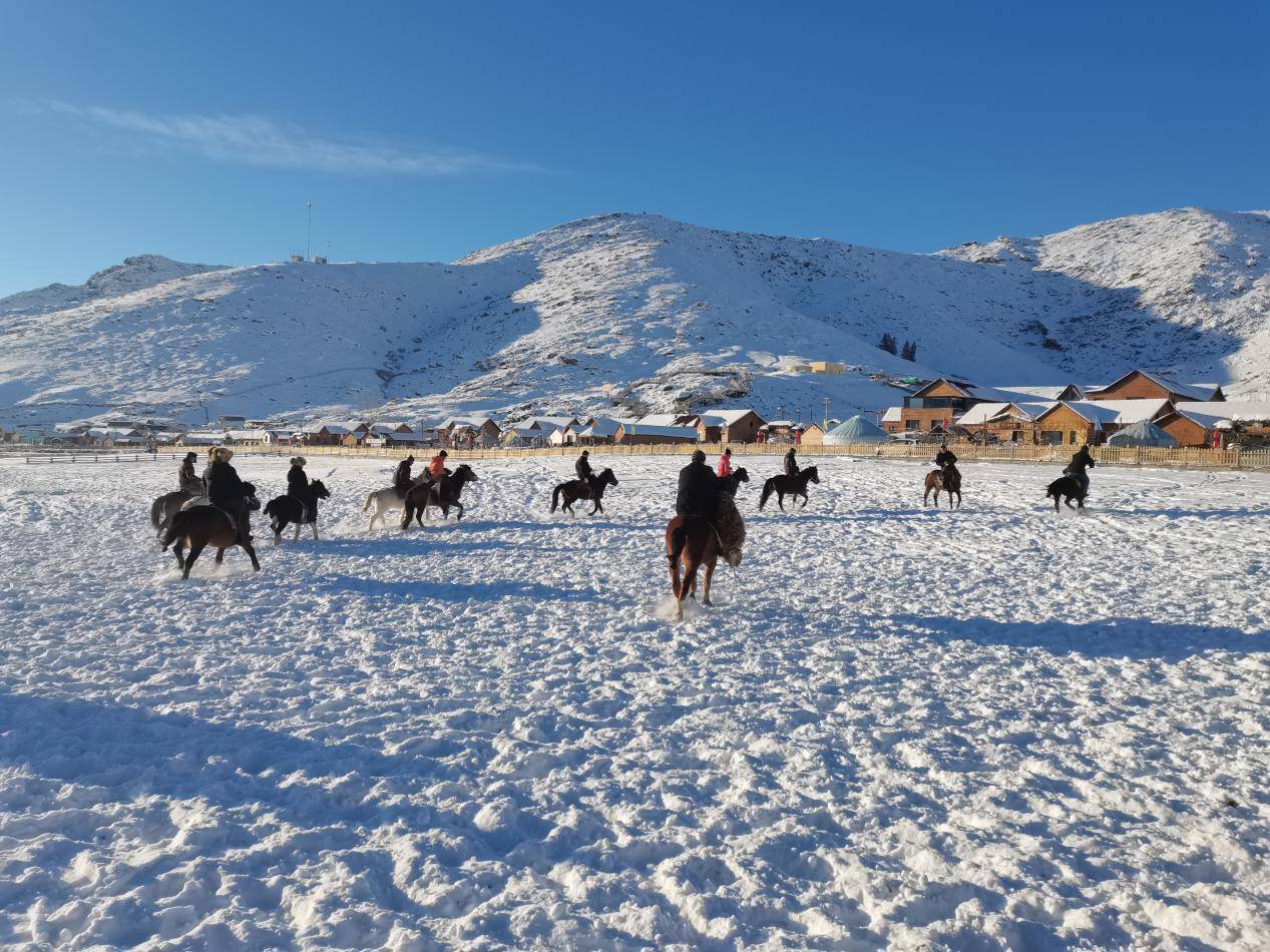 "冰雪之约·绽放可可托海"系列报道|从呼伦贝尔"转场"可可托海_杨志涛