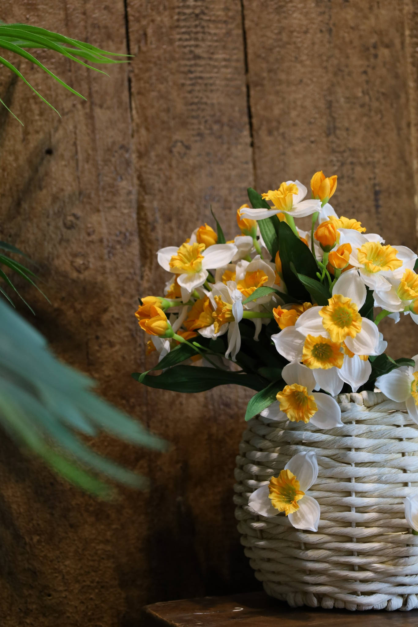 用仿真花阐述春日的浪漫_水仙花_虞美人_广东