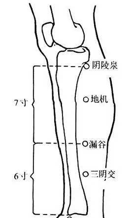 凹陷处_横纹_人体