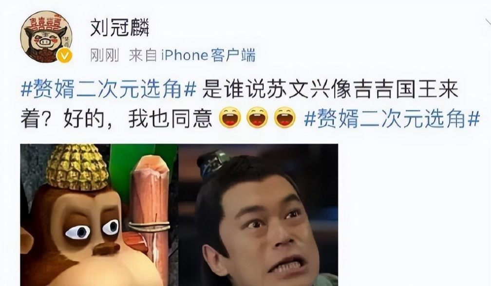 跑十九年龙套,43岁的刘冠麟走红并不是意外_吉吉_刘浩存_国王