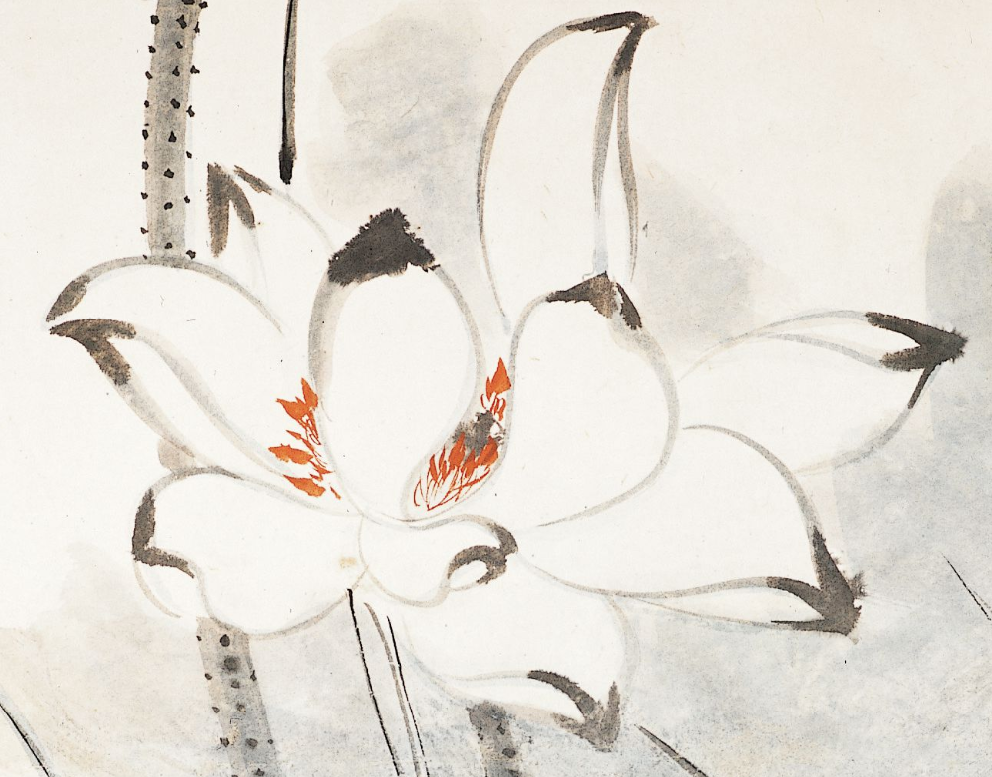 荷花张大千荷花图局部坚持每天高质量发文真的是一件不容易的事情