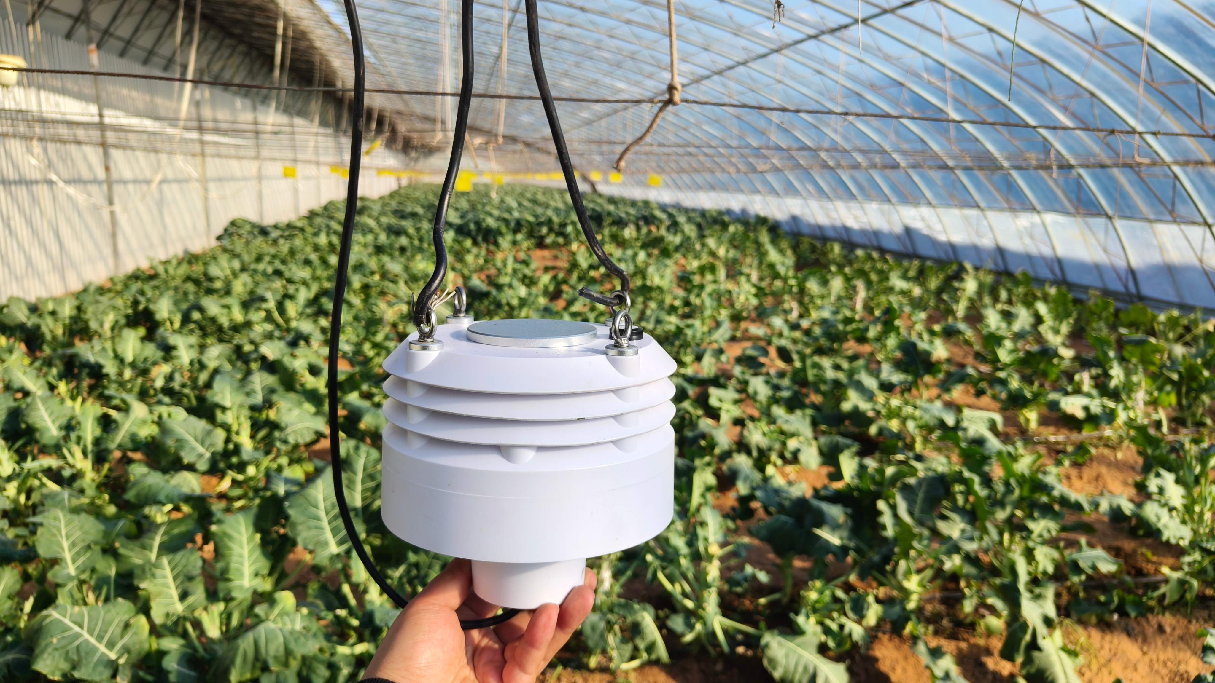 【邯郸耘农智慧】温室大棚传感器:精准农业的新选择_农户_传输_环境