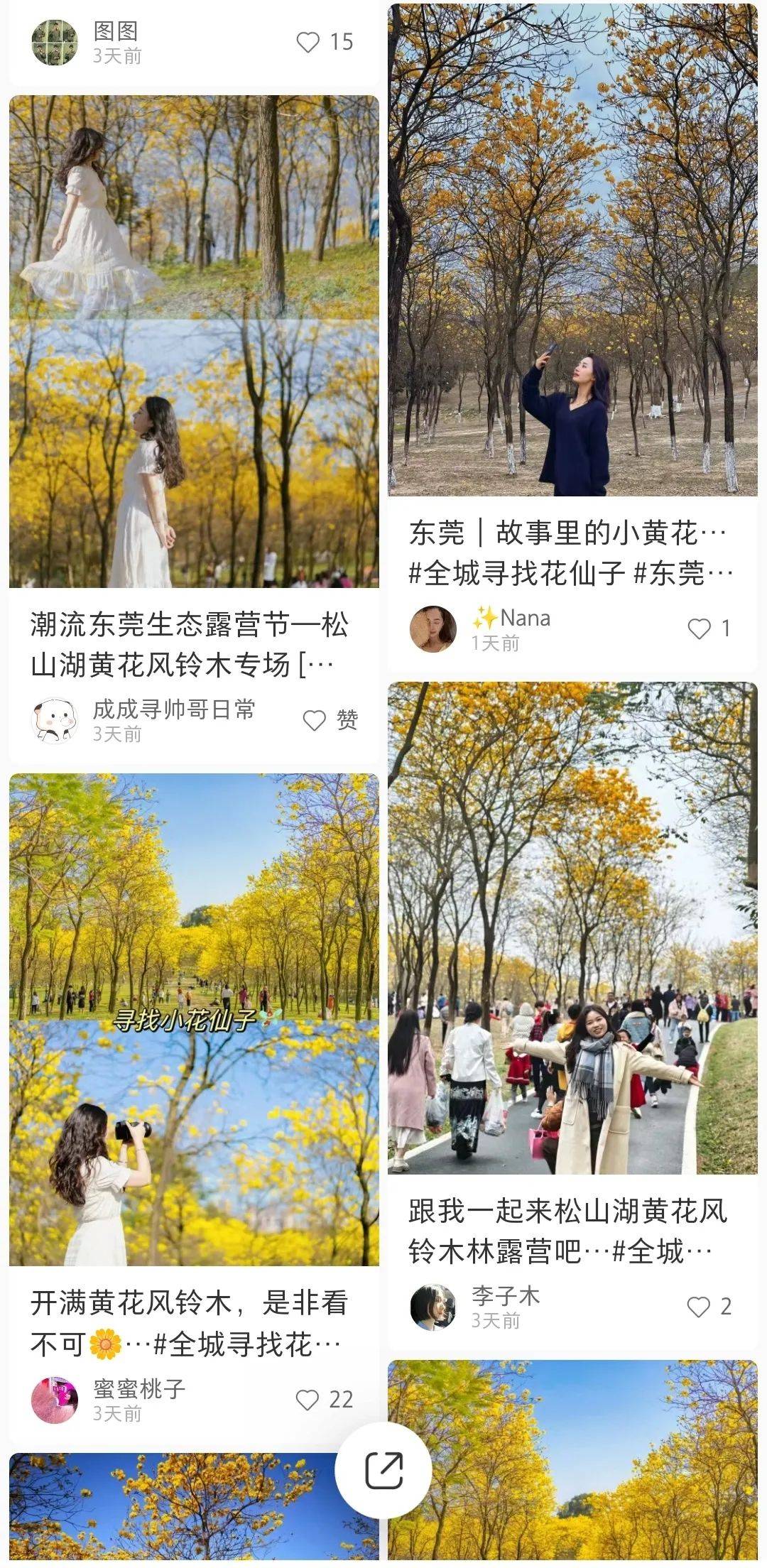 东莞松山湖这个露营节,浪漫到港澳青年也赶来了_活动_游客_文旅