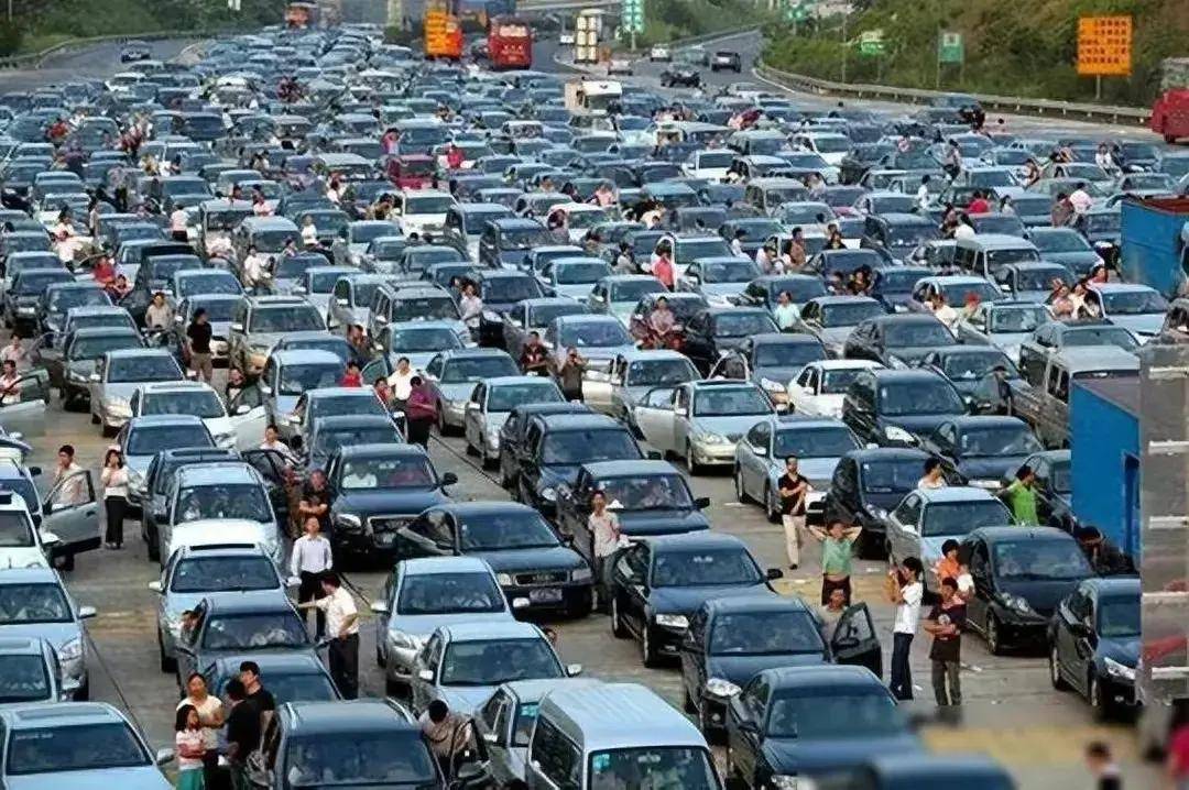 到底免费放行规定牌子有什么用_道路_出行者_管理