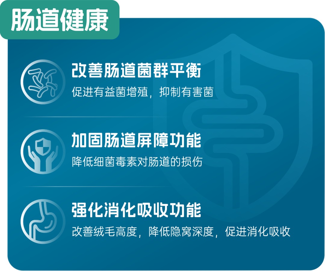 "来改善母猪的健康状况,优选具有优化肠道健康和免疫功能,缓解炎症