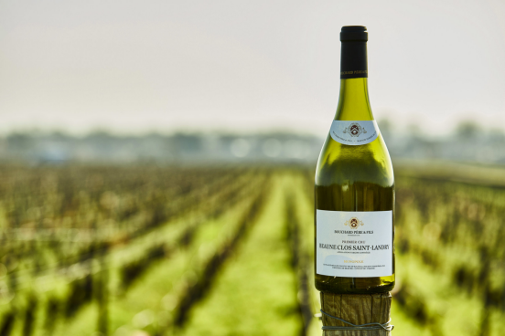 认识葡萄品种:风土翻译器,高贵的黑皮诺_香气_勃艮第_风味