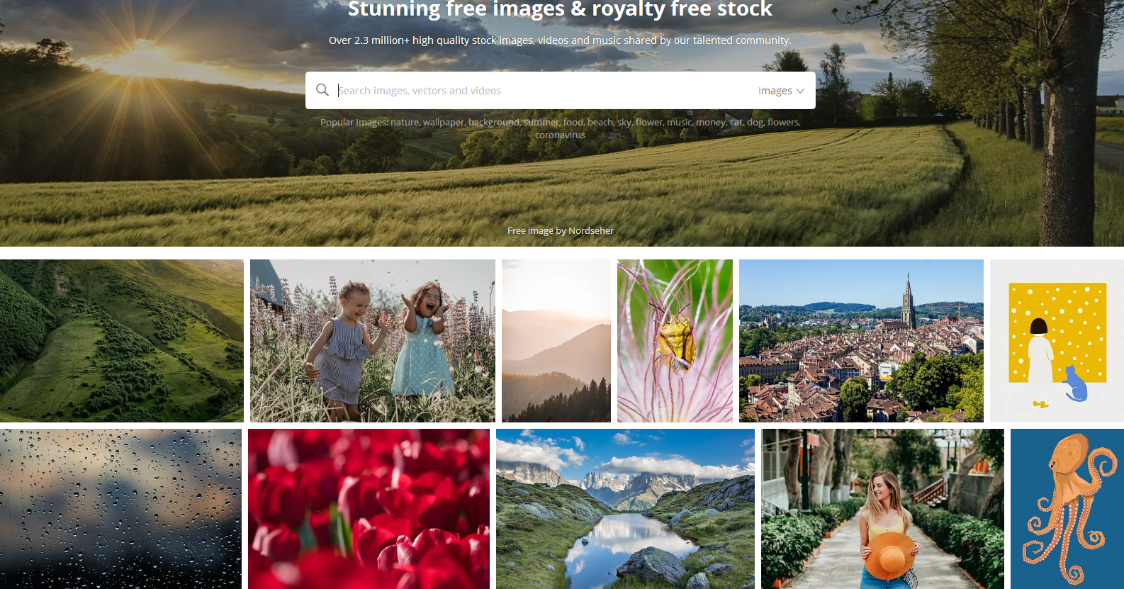 pixabay是一个免费的视频素材网站,它拥有超过50万个视频素材,覆盖了