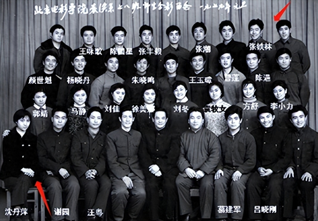 66岁就坐上轮椅的张铁林,如今已活成了一个"笑话"_女孩_沈丹萍_米可