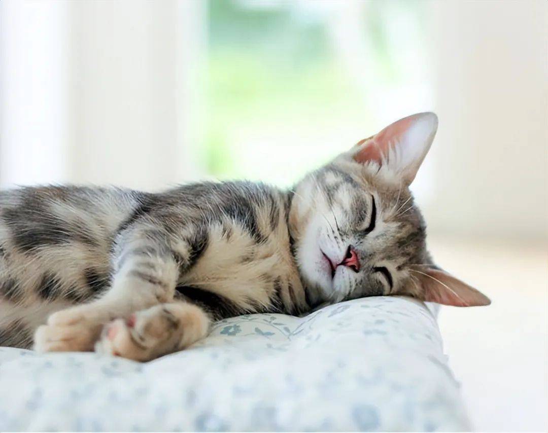 原创为什么睡觉不能脚朝西头朝东揭秘真相不是迷信