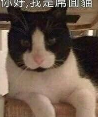 并不是所有猫都是颜值派,还有一些"吸不动的丑猫"_世界_美丑_评论