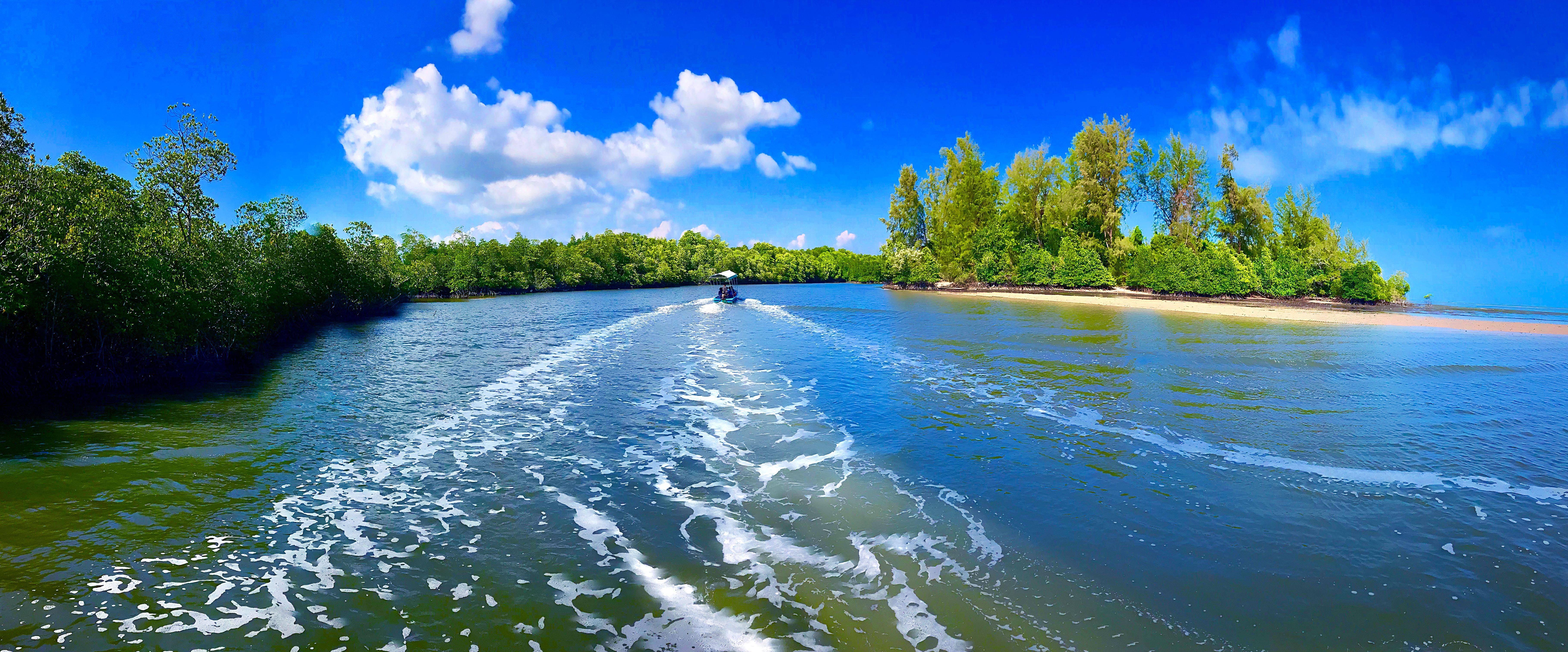 柬埔寨七星海的生态保护计划未来的绿色奇迹