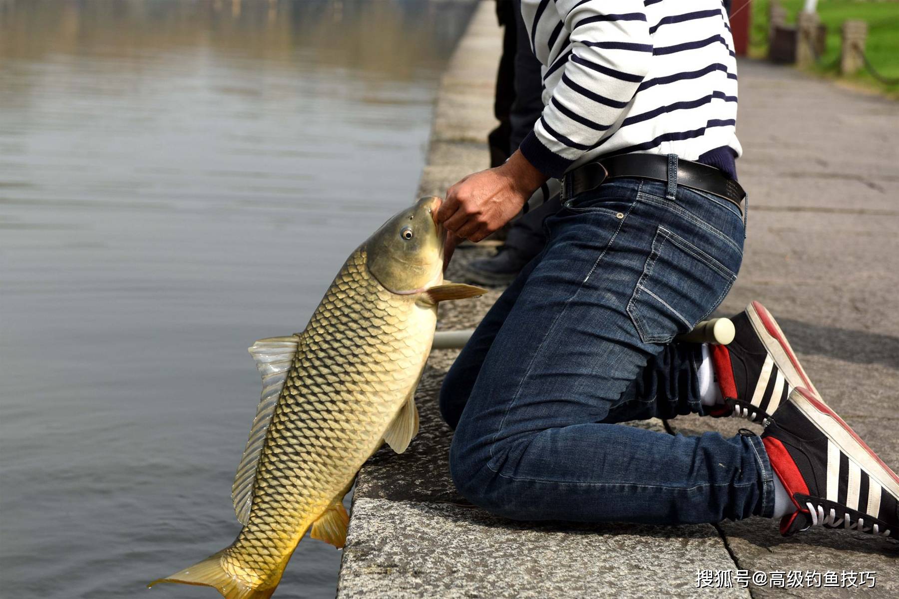 钓鱼要素的排行榜,看看哪个对钓鱼影响最大_鱼饵_天气_钓鱼人