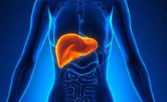 肝硬化如何变软_肝脏_心态_运动