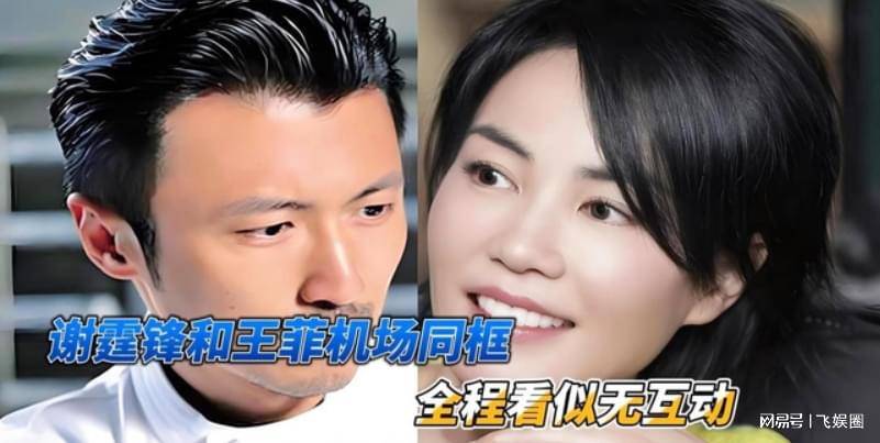 原创王菲与谢霆锋携手回国表面风光的背后只是维持热度的作秀