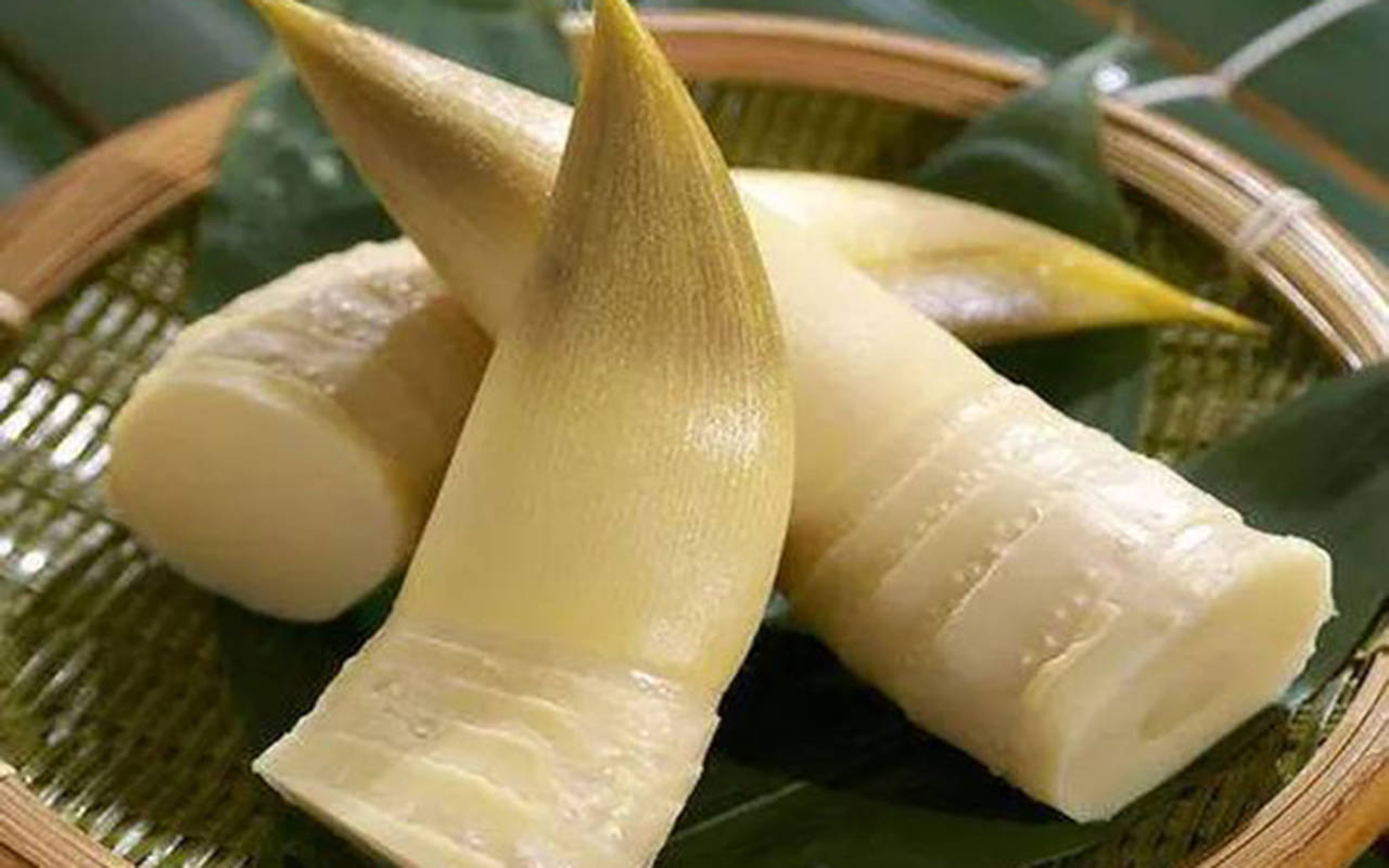 冬笋价格"腰斩",冷知识:冬笋不是冬天长的笋,是没长大的春笋_上市_杭