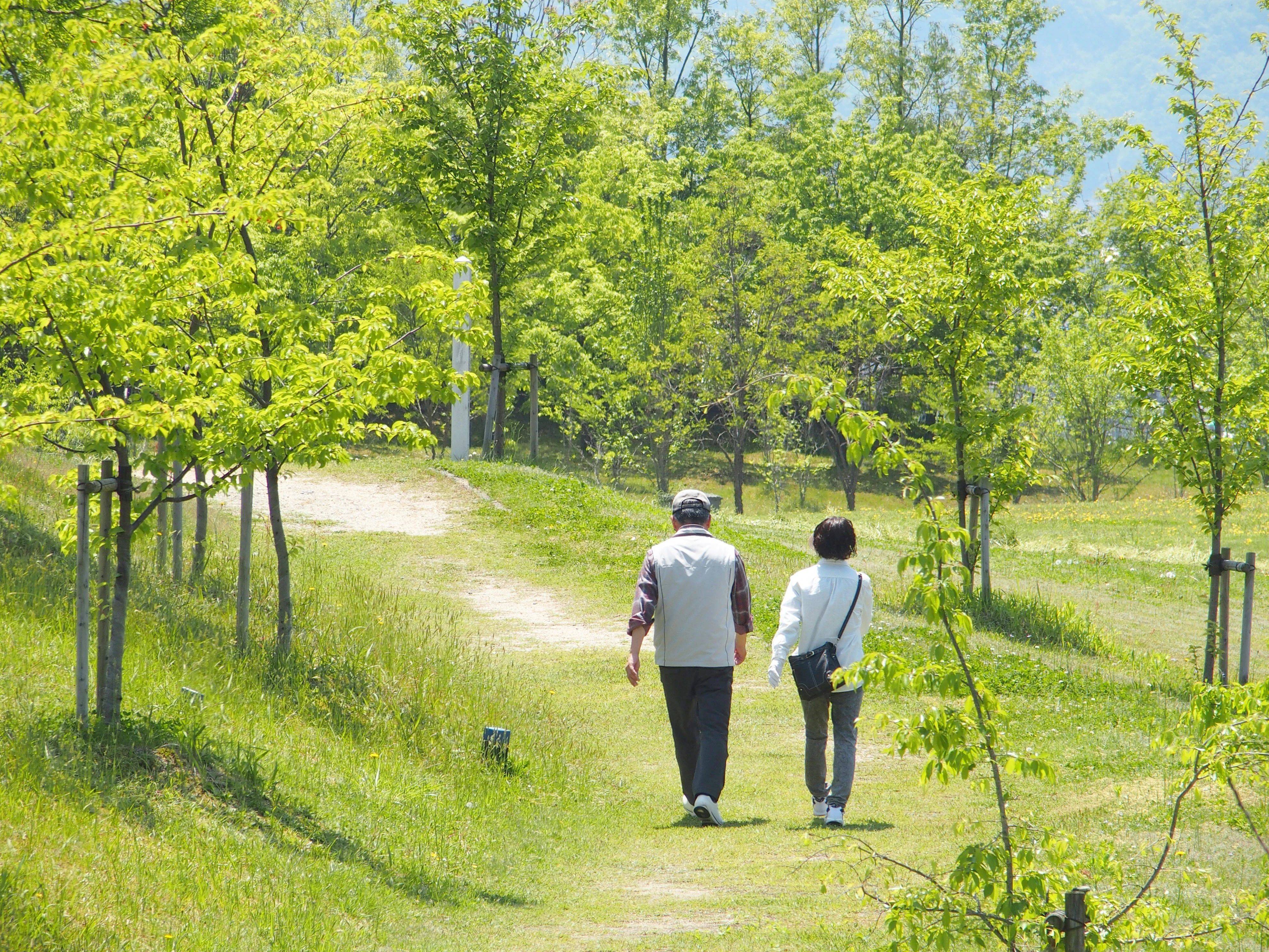 这样散步,轻松提高心肺功能