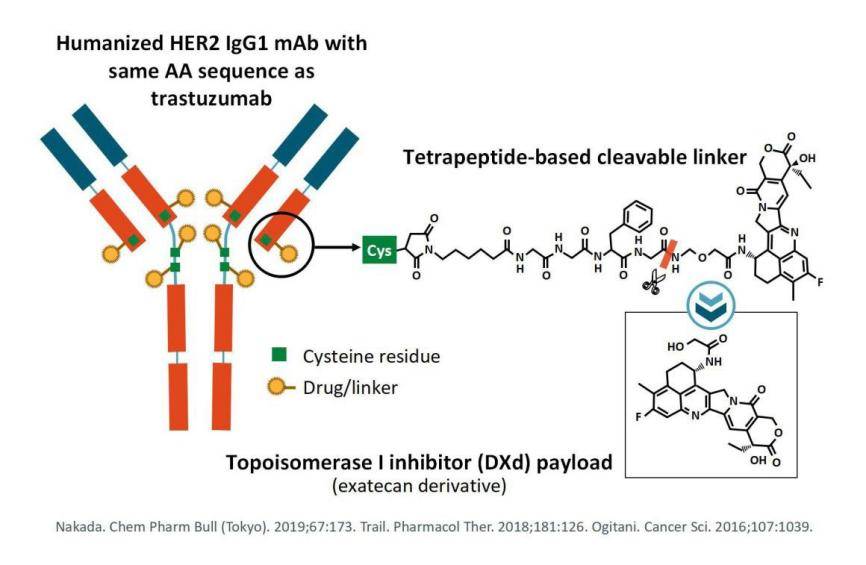 microed技术协助adc药物分子结构确证