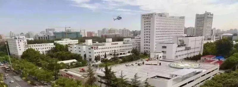 一招去除香椿芽的草酸与亚硝酸盐,美味且健康,但这些人不宜吃!