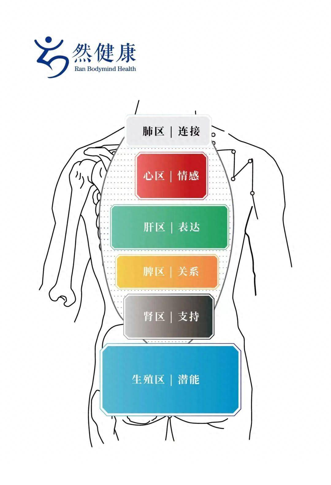 人体感觉平面定位图图片