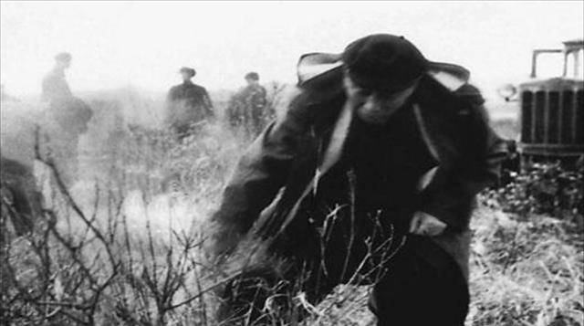 永远的知青-在北大荒牺牲的王晓勤_劳动_时候_火车