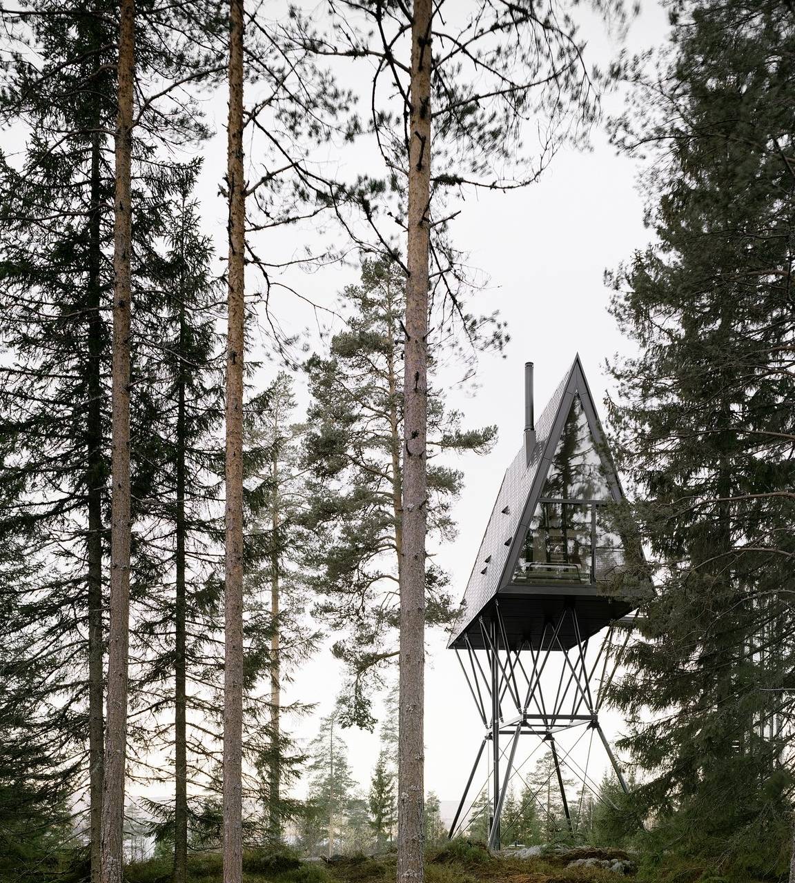 原创431平方英尺的潘树顶小屋是一个童话般的存在