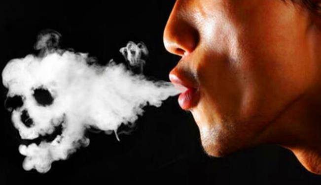 原创英国公司为求证抽烟无害每天让狗抽100支烟结局如何