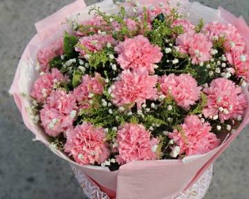 原创母爱之花康乃馨漂亮又有寓意养护的好四季都能开花