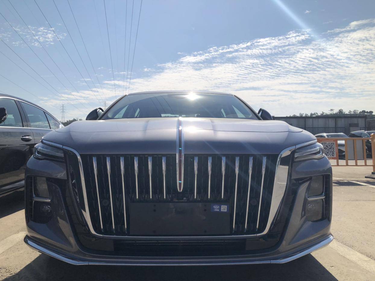 新能源汽车,就是在燃油车领域,国产品牌也不乏优秀的产品,比如说红旗